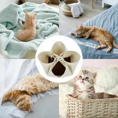 ZenPets Lit tunnel pliable pour chats