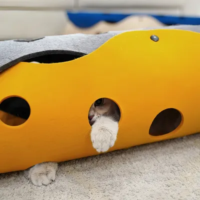FurryFusion Le tunnel pour chat peut être épissé