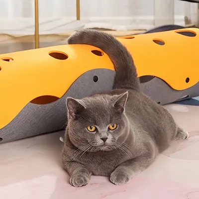 FurryFusion Le tunnel pour chat peut être épissé