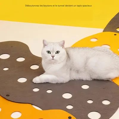 FurryFusion Le tunnel pour chat peut être épissé