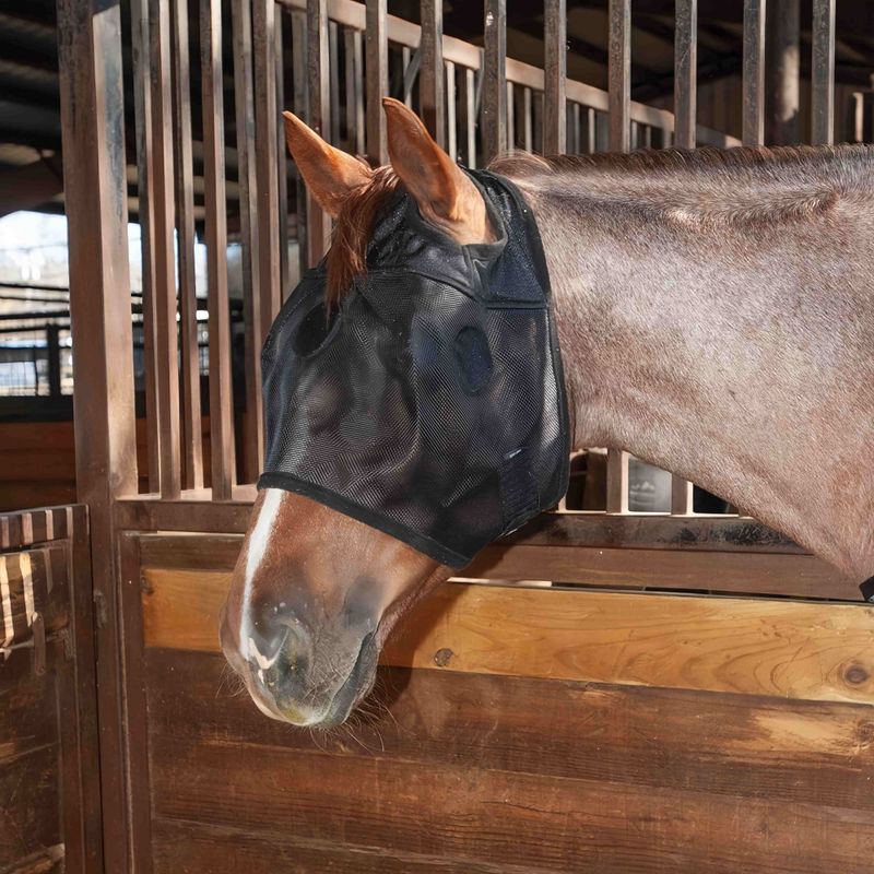 FurryFusion Masque anti-moustiques pour chevaux