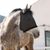 FurryFusion Masque anti-moustiques pour chevaux