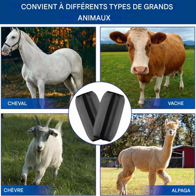 ZooVenture Lot De 4 Guêtres De Protection Pour Cheval Pour Chevaux