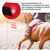ZooVenture Bandes De Protection Pour Cheval