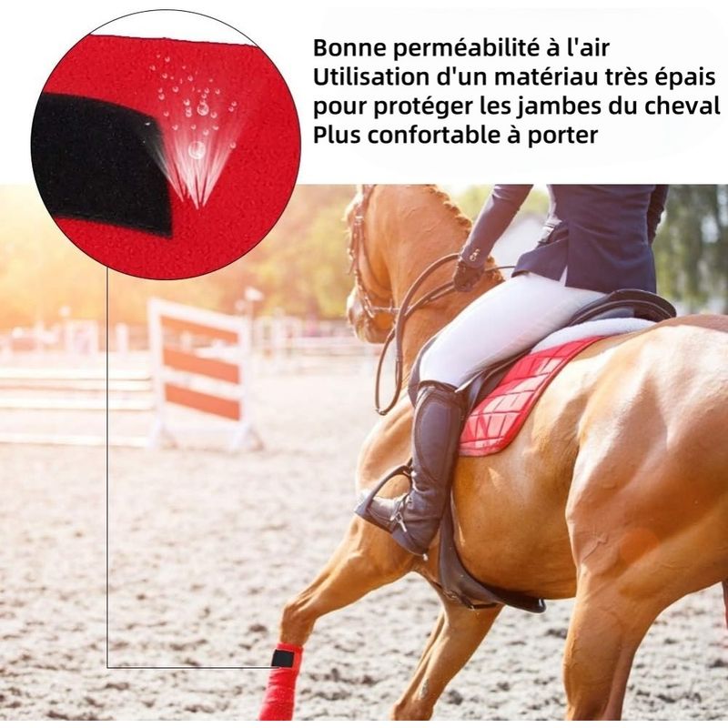 ZooVenture Bandes De Protection Pour Cheval
