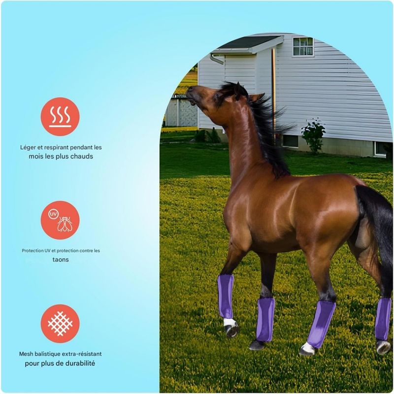 ZooVenture Lot De 4 Guêtres De Protection Pour Cheval Pour Chevaux