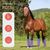 ZooVenture Lot De 4 Guêtres De Protection Pour Cheval Pour Chevaux