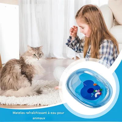 IntiMeg Matelas d'eau rafraîchissant pour chats et chiens