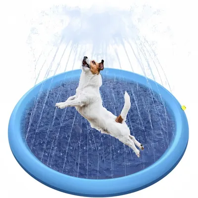 Pet Planet SplashFun Piscine Pliable Pour Chien et Chat