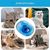 IntiMeg Matelas d'eau rafraîchissant pour chats et chiens