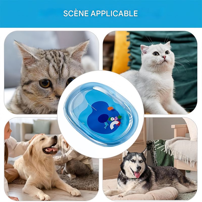 IntiMeg Matelas d'eau rafraîchissant pour chats et chiens