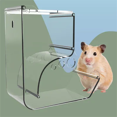 IntiMeg Récipient d'alimentation automatique en pour hamster
