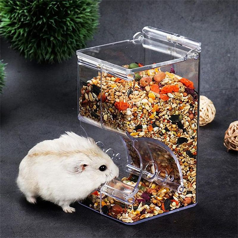 IntiMeg Récipient d'alimentation automatique en pour hamster