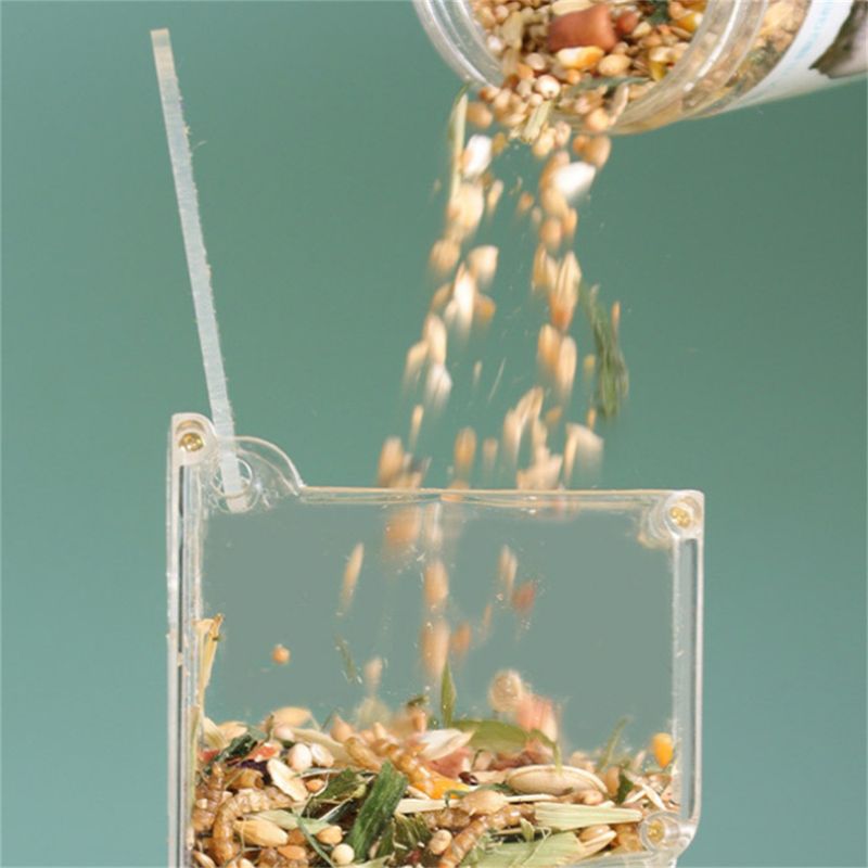 IntiMeg Récipient d'alimentation automatique en pour hamster