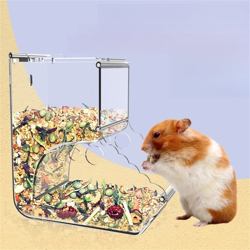 IntiMeg Récipient d'alimentation automatique en pour hamster