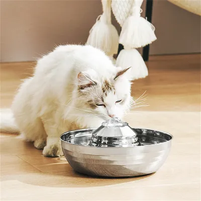IntiMeg Fontaine à eau pour animaux en acier inoxydable 360°