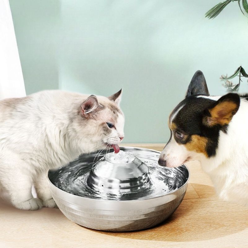 IntiMeg Boîte à eau pour animal de compagnie en acier inoxydable 360°
