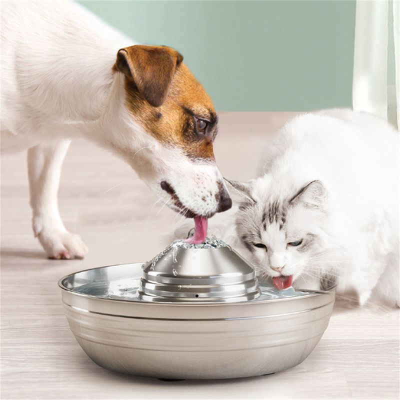 IntiMeg Boîte à eau pour animal de compagnie en acier inoxydable 360°
