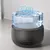IntiMeg Boîte à eau intelligente pour animal de compagnie