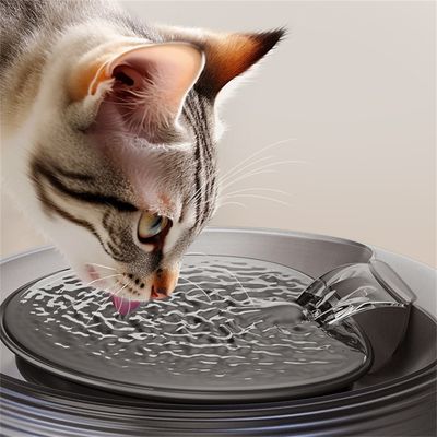 IntiMeg Boîte à eau intelligente pour animal de compagnie