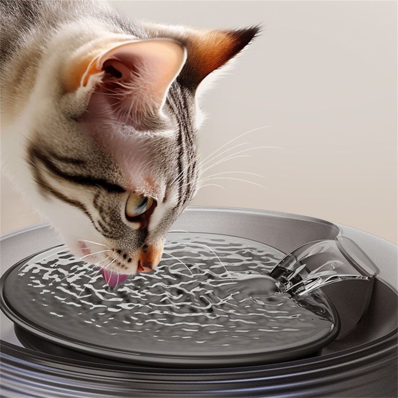 IntiMeg Boîte à eau intelligente pour animal de compagnie