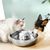 IntiMeg Boîte à eau pour animal de compagnie en acier inoxydable 360°