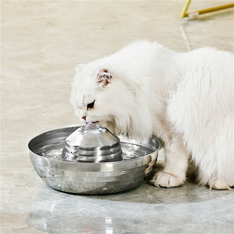 IntiMeg Boîte à eau pour animal de compagnie en acier inoxydable 360°