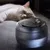 IntiMeg Boîte à eau intelligente pour animal de compagnie