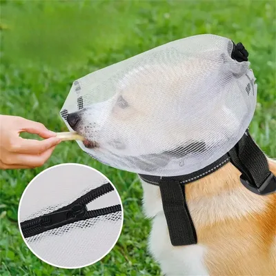 IntiMeg Mückenschutz für Hunde IntiMeg Mückenschutz für Hunde