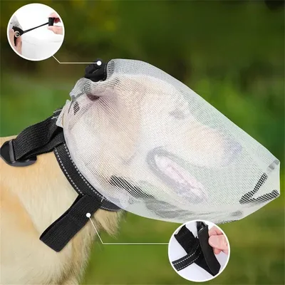 IntiMeg Mückenschutz für Hunde IntiMeg Mückenschutz für Hunde