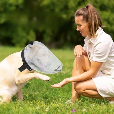 IntiMeg Repelente de mosquitos para perros