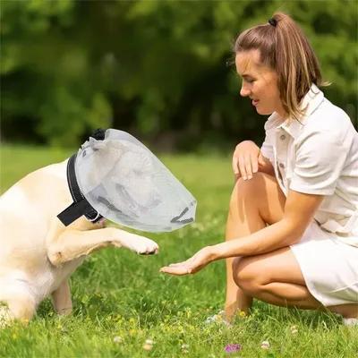 IntiMeg Mückenschutz für Hunde IntiMeg Mückenschutz für Hunde