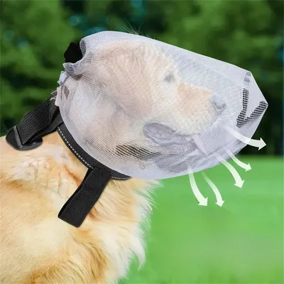 IntiMeg Mückenschutz für Hunde IntiMeg Mückenschutz für Hunde