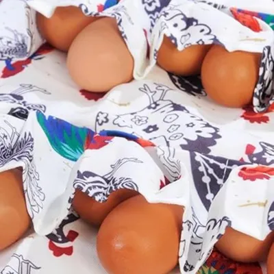 ZenPets Tablier de ramassage d'œufs