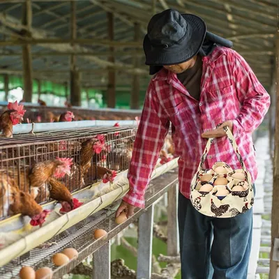 ZenPets Mini panier à œufs en tissu