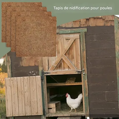 ZooVenture Ensemble De 4 Nids Pour Poules Réutilisables Pour Volaille