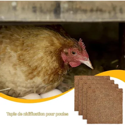 ZooVenture Ensemble De 4 Nids Pour Poules Réutilisables Pour Volaille