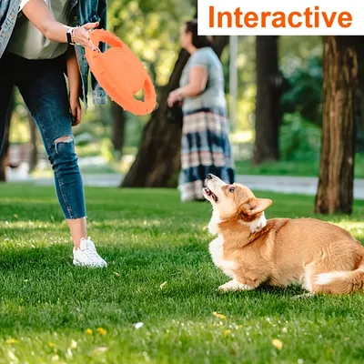 UAMLY Disque frisbee pour chien avec poignées en mousse