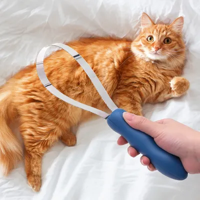 UAMLY Lame de toilettage double face pour chiens