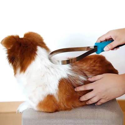 UAMLY Lame de toilettage double face pour chiens