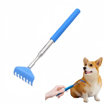 FurryFusion Masseur anti-démangeaisons pour chats et chiens