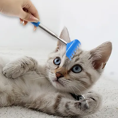 FurryFusion Masseur anti-démangeaisons pour chats et chiens