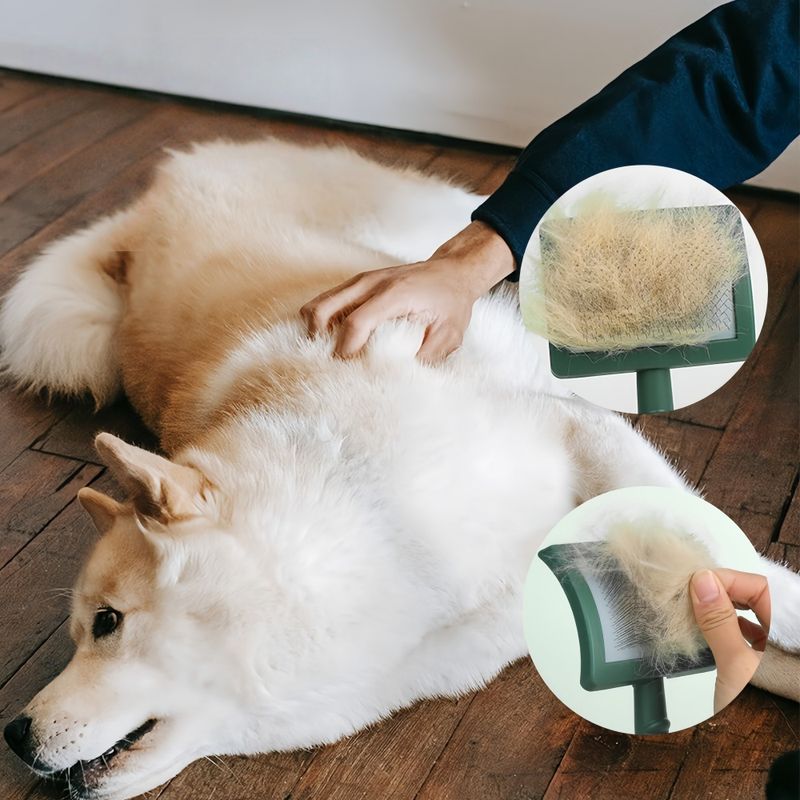 FurryFusion Brosse de toilettage pour chien à aiguilles extra longues