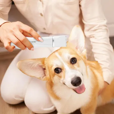 Pet Planet Tondeuse Kit Toilettage Électrique Pour Chien Et Chat