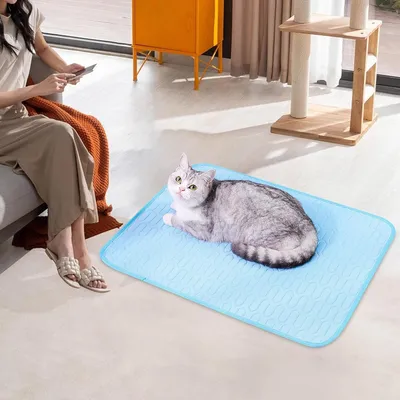 ZenPets Lit pour chat cool