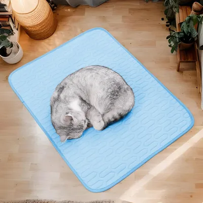 ZenPets Lit pour chat cool