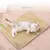 ZenPets Tapis de repos pour chien
