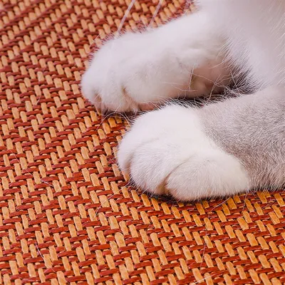 ZenPets Tapis rafraîchissant pour chien