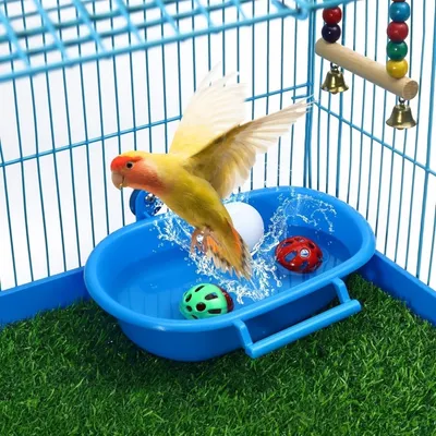 ZooVenture Baignoire Suspendue En PP Pour Oiseaux