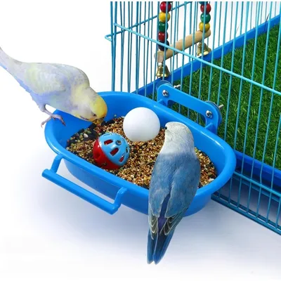 ZooVenture Baignoire Suspendue En PP Pour Oiseaux